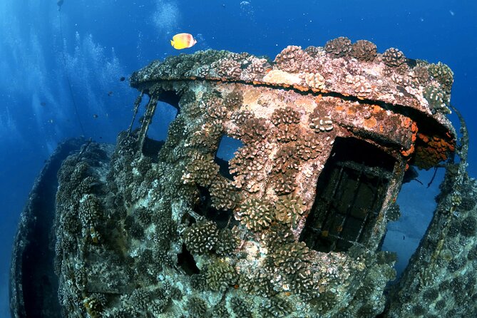 Certified Diver: 2-Tank Deep Wreck and Shallow Reef Dive Off Oahu - What the crew adds to the outing