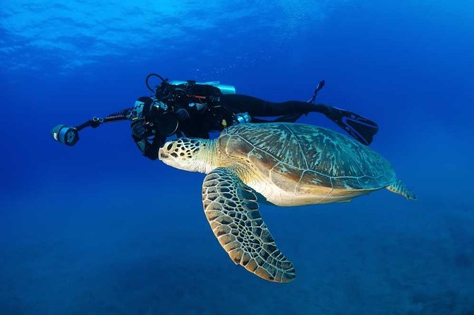 Certified Diver: 2-Tank Deep Wreck and Shallow Reef Dive Off Oahu - Is $248.81 a fair price?