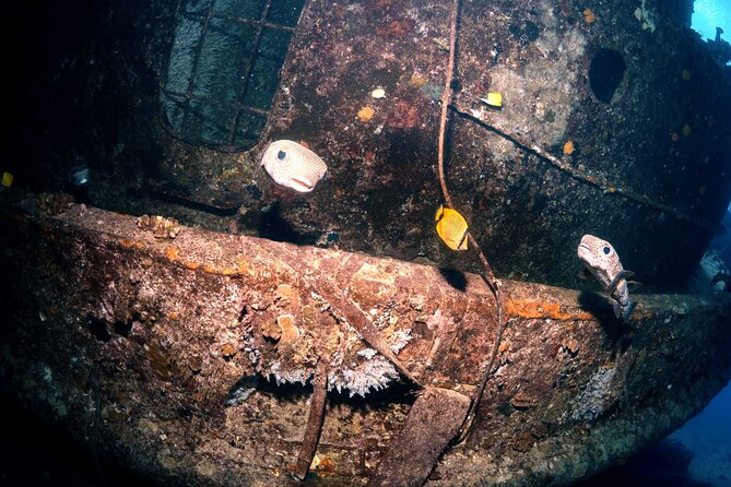 Certified Diver: 2-Tank Deep Wreck and Shallow Reef Dive Off Oahu - Who should book this trip