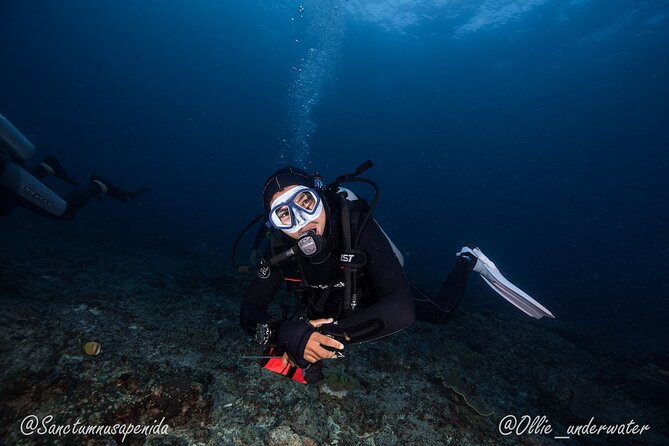 Certified Scuba Dive with Manta Rays (Open Water Diver minimum) - The morning schedule, from 8:30 am to 2 pm