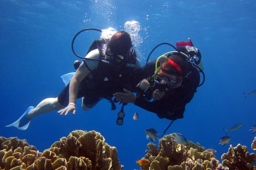 Cesme: Scuba Diving Experience - Who will enjoy this most?