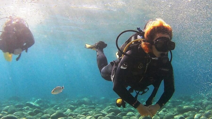 Chalkidiki: Scuba Diving for Beginners in Kassandra - Key points to know before booking