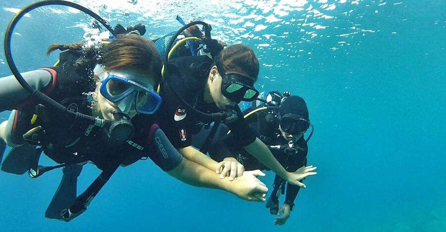 Chalkidiki: Scuba Diving for Beginners in Kassandra - Your first underwater breaths in Kassandra