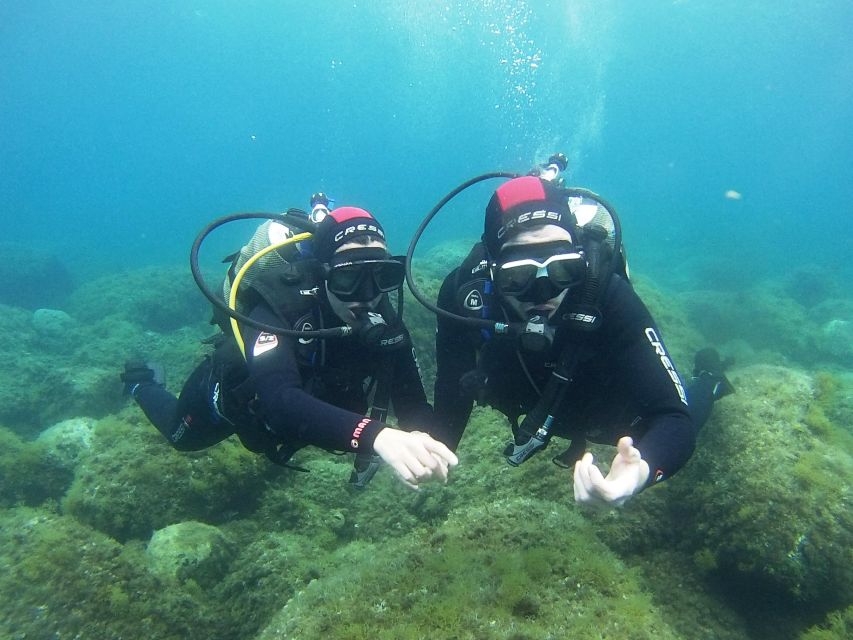 Chalkidiki: Scuba Diving for Beginners in Kassandra - Pickup across the Kassandra Peninsula