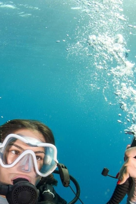 Chania: 2 Boat Dives for Certified Divers - Choosing equipment and preparing the boat