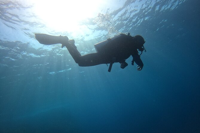 Chania Scuba Diving 2 Shore Dives(Receive Certification) - Fruit, water, and a useful break