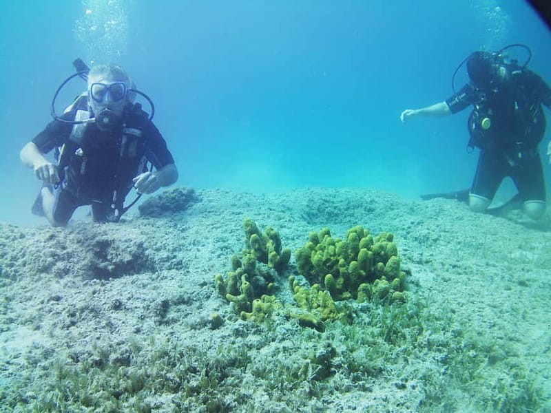 Chania: Scuba Diving and Snorkeling for Beginners by Boat - What you get for $170