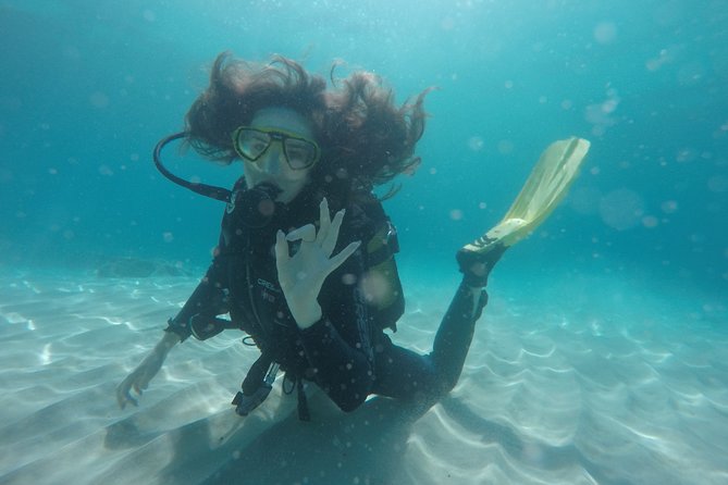 Chania: Scuba Diving for Beginners - A calm introduction beneath the Aegean