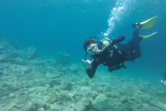 Chania: Scuba Diving for Beginners - Photos, video, and the practical value of the price