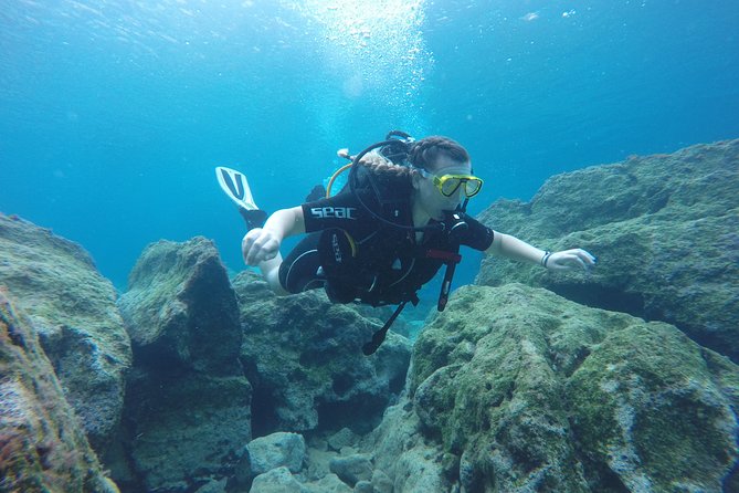 Chania: Scuba Diving for Beginners - Morning or afternoon: choosing the right session