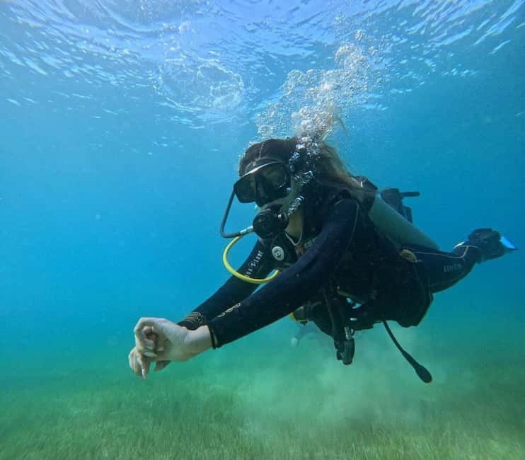 Chania :Scuba Diving for Beginners-Boat Dive - Who will enjoy this most