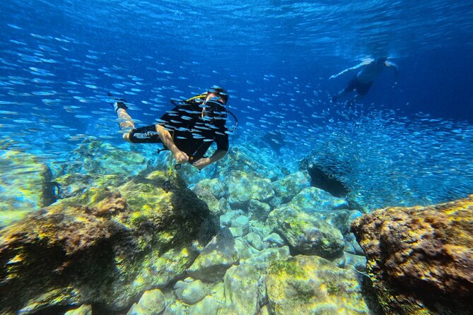 Chania Scuba Diving | Shore Dives | Certified Divers - What you may see below the surface