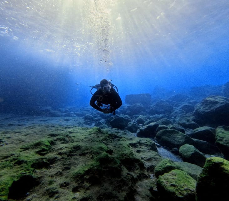 Chania Scuba Diving: Shore Dives for Certified Divers - Reaching Koutalas Beach and the Sheltered Site