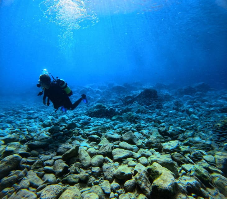 Chania Scuba Diving: Shore Dives for Certified Divers - What You May See Below the Surface