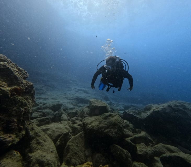 Chania Scuba Diving: Shore Dives for Certified Divers - Choosing One Session or Two