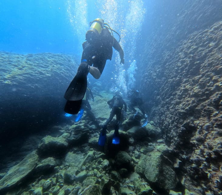 Chania Scuba Diving: Shore Dives for Certified Divers - Who Will Enjoy This Most
