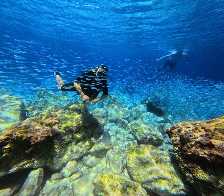 Chania Scuba Diving: Shore Dives for Certified Divers - Practical Tips for a Better Morning