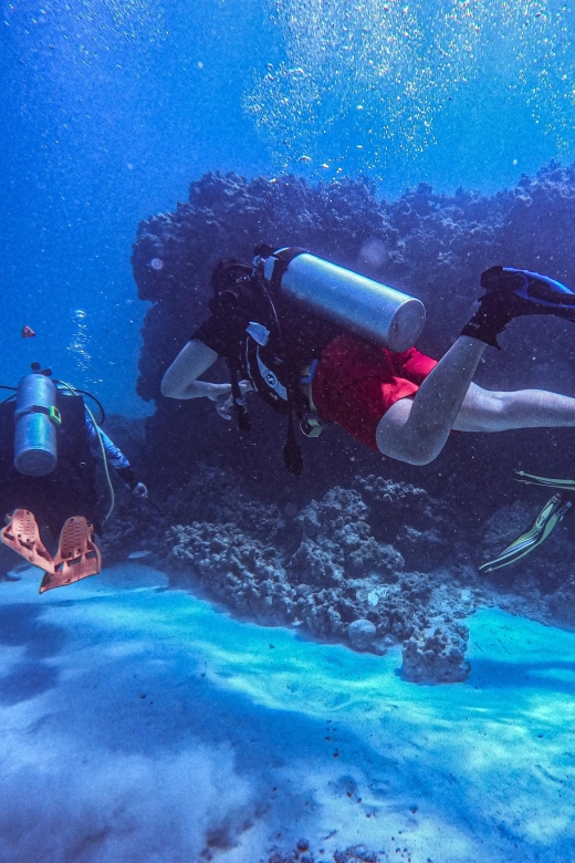 Chania:Try Scuba Diving 2shore dives(Receive Certification) - Booking details that affect your day
