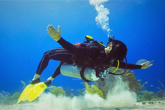 Chankanaab Cozumel Scuba Diving - What this Cozumel scuba experience is really like