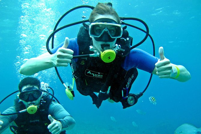 Chankanaab Cozumel Scuba Diving - What you see below the surface