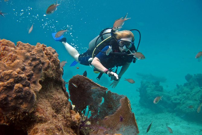 Chankanaab Cozumel Scuba Diving - Photos, equipment, and small practical concerns