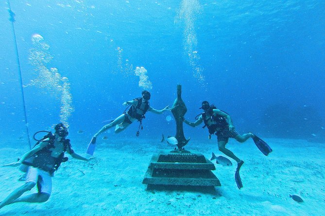 Chankanaab Cozumel Scuba Diving - Is the value right for you?