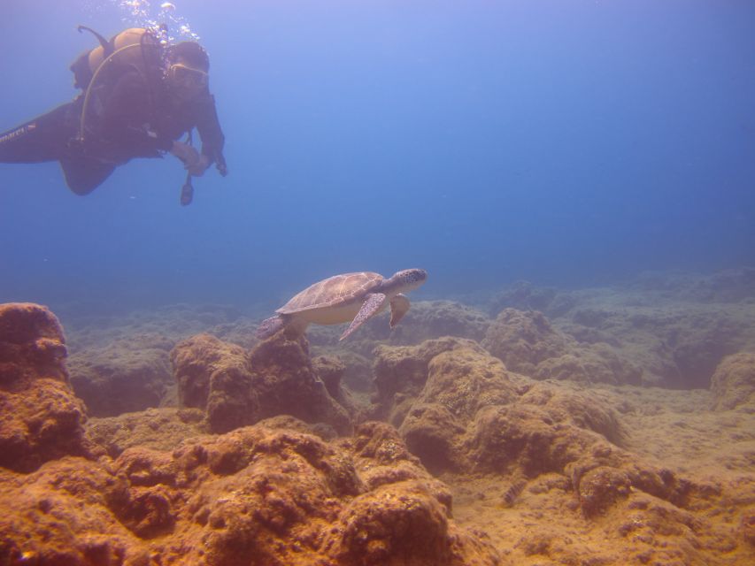 City of Side: Underwater Museum Scuba Diving Visit - First 20-minute session around the sculptures