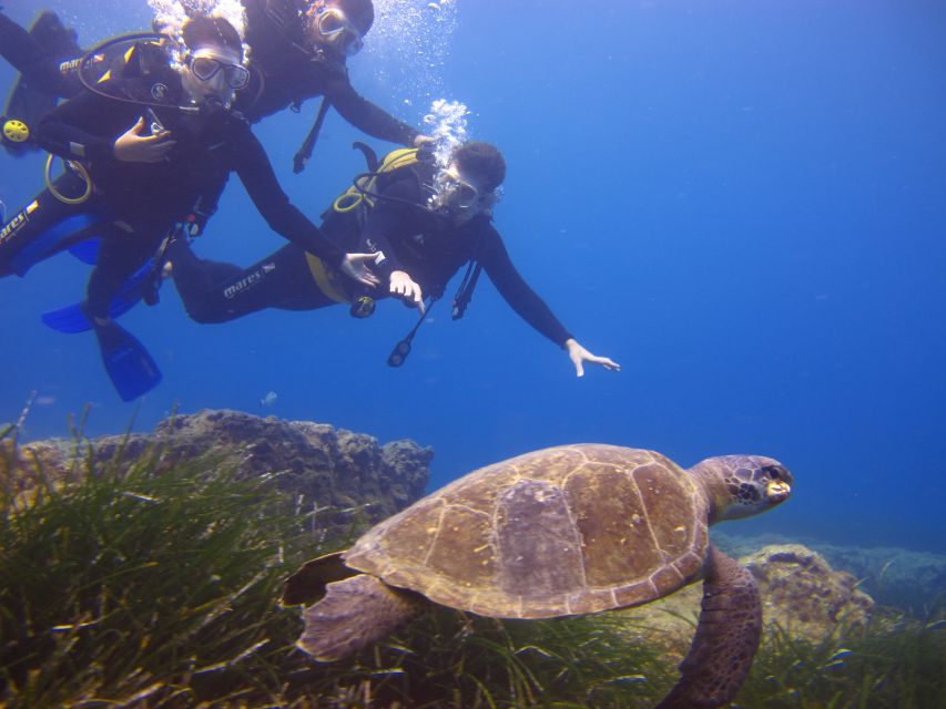 City of Side: Underwater Museum Scuba Diving Visit - What the $50 price really includes
