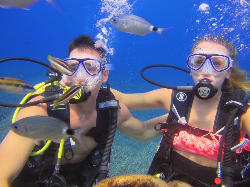 City of Side: Underwater Museum Scuba Diving Visit - Timing, comfort, and the return trip