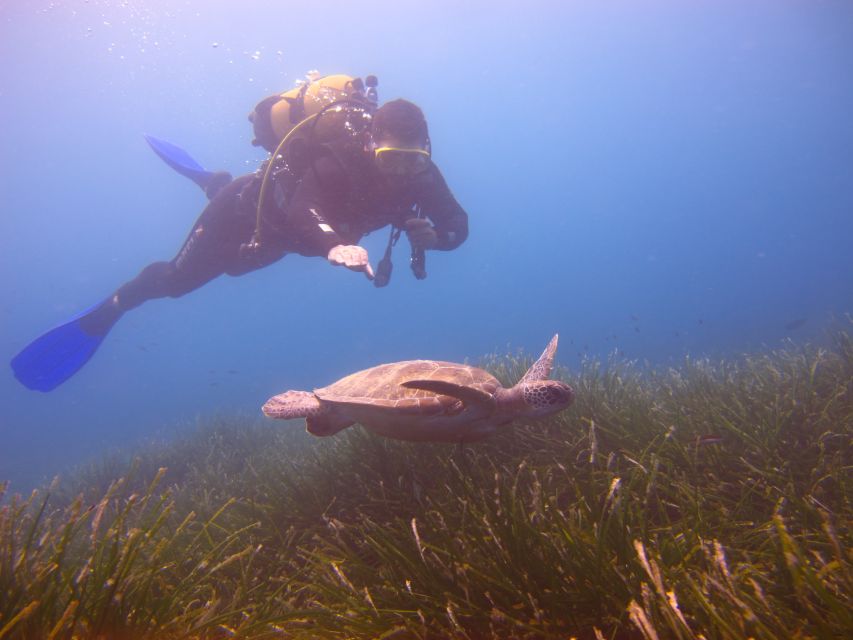 City of Side: Underwater Museum Scuba Diving Visit - The morning pickup and trip to the harbor