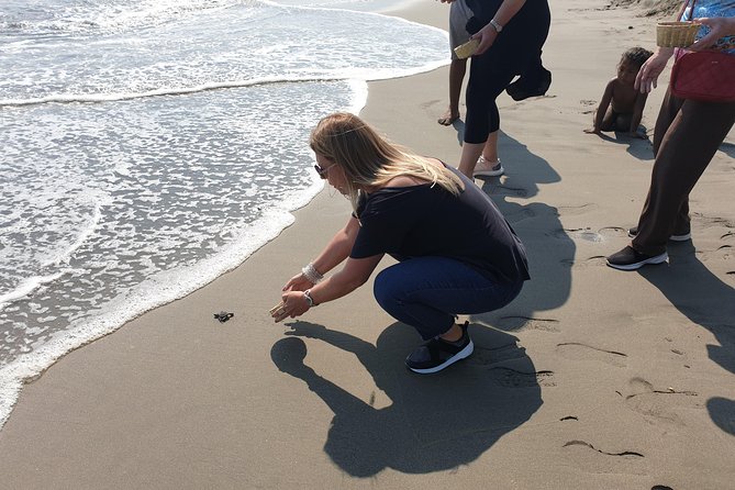 Combo 6 Hr Tour All City Highlights Divers Baby Turtle Release - Chapel of Peace and Acapulco from above