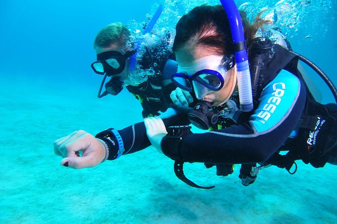 Continue your education with the Advanced Open Water Diver course - 2 days - Key points to know before booking