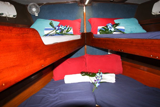 Coral Sea Dreaming Overnight Dive, Snorkel and Sail - Is $472.66 good value?