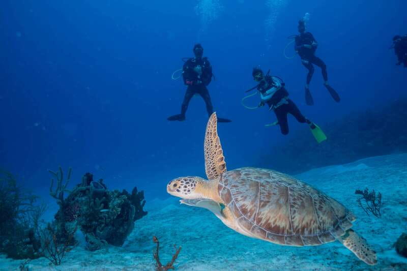 Costa Maya: Discover Scuba Diving Reef Experience - Starting at Mar Adentro Diving in Mahahual