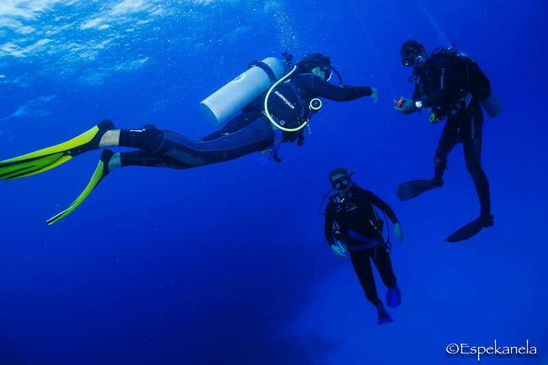 Costa Maya: Discover Scuba Diving Reef Experience - Shallow reef lagoon practice builds confidence