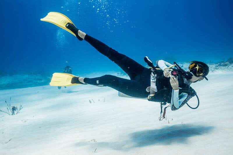 Costa Maya: Discover Scuba Diving Reef Experience - What you may see on the coral reef