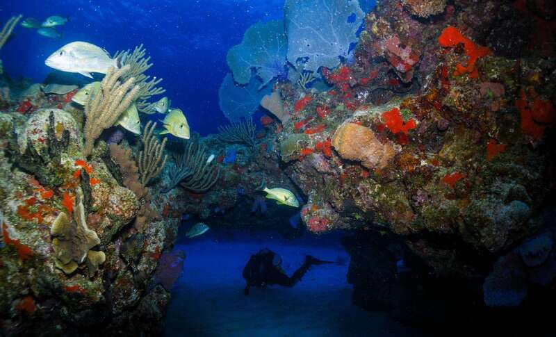 Costa Maya: Two Tank Fun Dive for Certified Divers - Weather, health, and certification rules