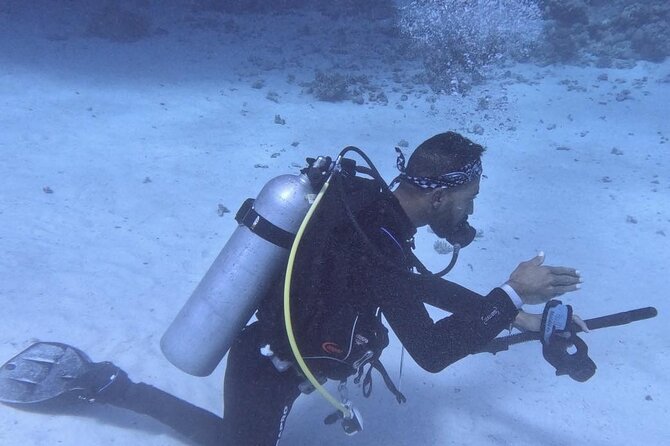 Course for Padi OW in Red Sea and Sinai - What the Red Sea portion adds