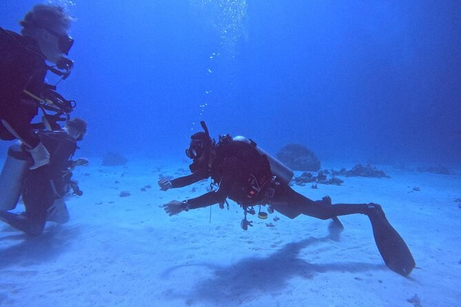 Course for Padi OW in Red Sea and Sinai - Is $450 a fair price?