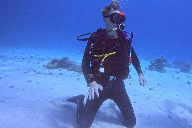 Course for Padi OW in Red Sea and Sinai - The people who will get the most from this course