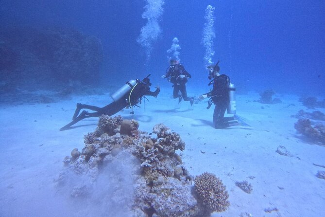 Course for Padi OW in Red Sea and Sinai - Timing, group size, and a useful question to ask