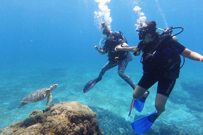 Cozumel: Discover Scuba Diving - What this Cozumel scuba experience is really like