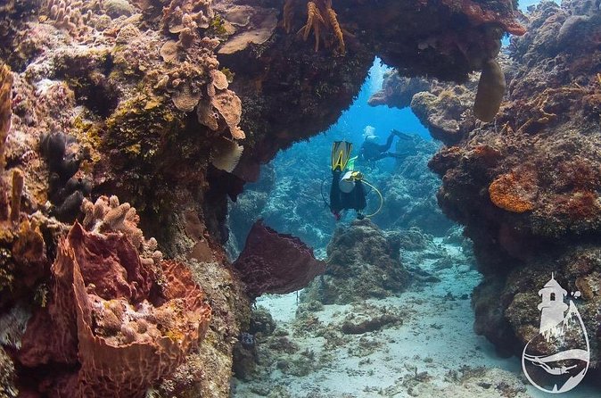 Cozumel: Discover Scuba Diving - Who should book this activity