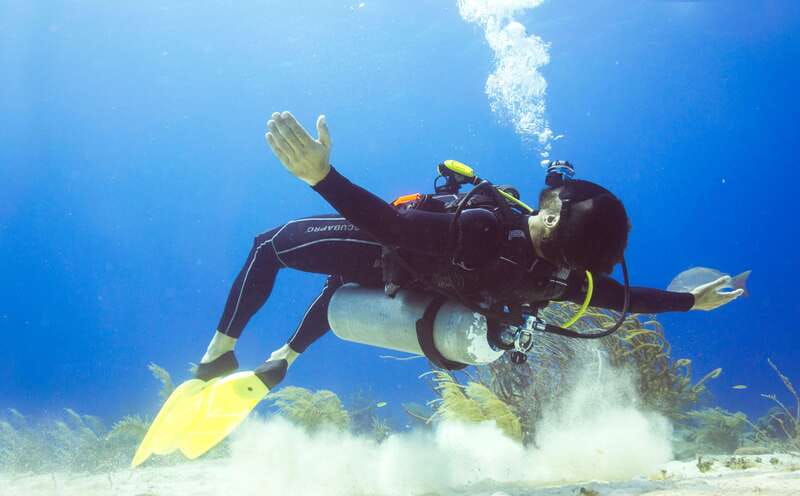 Cozumel: One Tank Scuba Dive and Full Chankanaab Park Access - What You Actually Get for $63