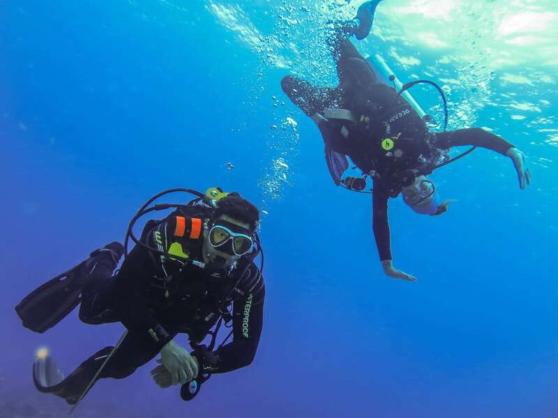 Cozumel: One Tank Scuba Dive and Full Chankanaab Park Access - Making the Most of the Park Afterward