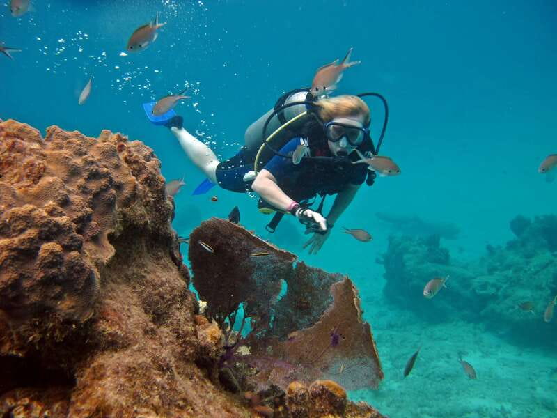 Cozumel: One Tank Scuba Dive and Full Chankanaab Park Access - The Pre-Water Lesson: Calm, Clear, and Important