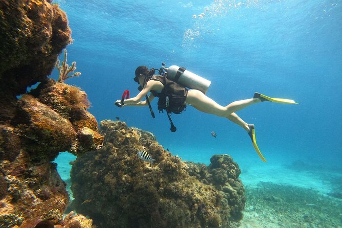 Cozumel Scuba Dive at Chankanaab - The short lesson is the key to feeling at ease