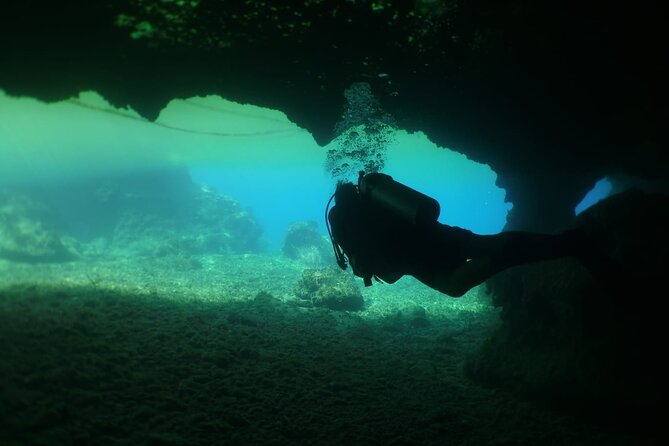 Cozumel Scuba Dive at Chankanaab - How the $85 price works out