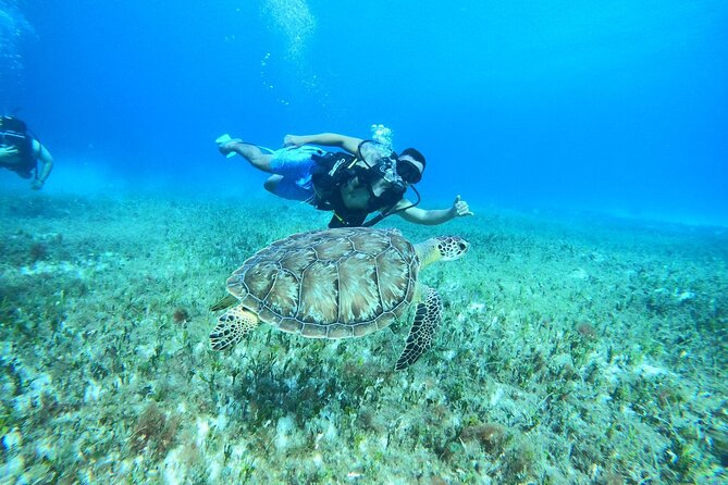 Cozumel Scuba Dive at Chankanaab - Important practical tips for your visit