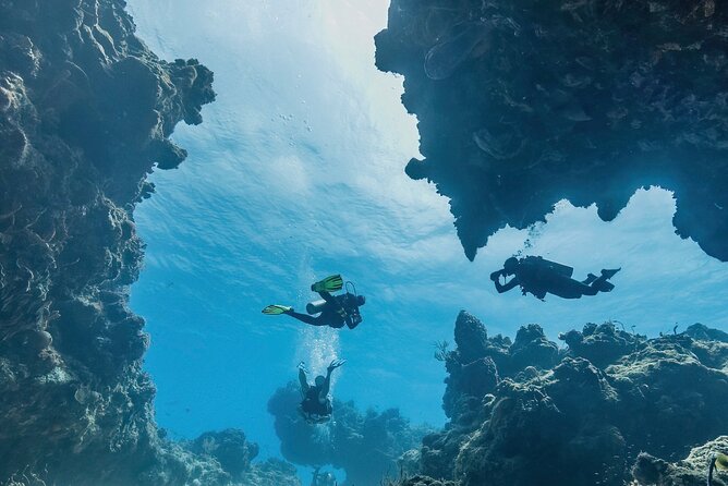 Cozumel underwater 2 Tank Dive by boat - Why this Cozumel trip is built around two tanks
